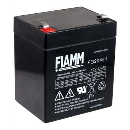 Click Here To Enlarge This Photo Of Roger Technology BT12V45 Battery